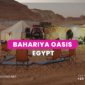 Guide to Bahariya Oasis Egypt