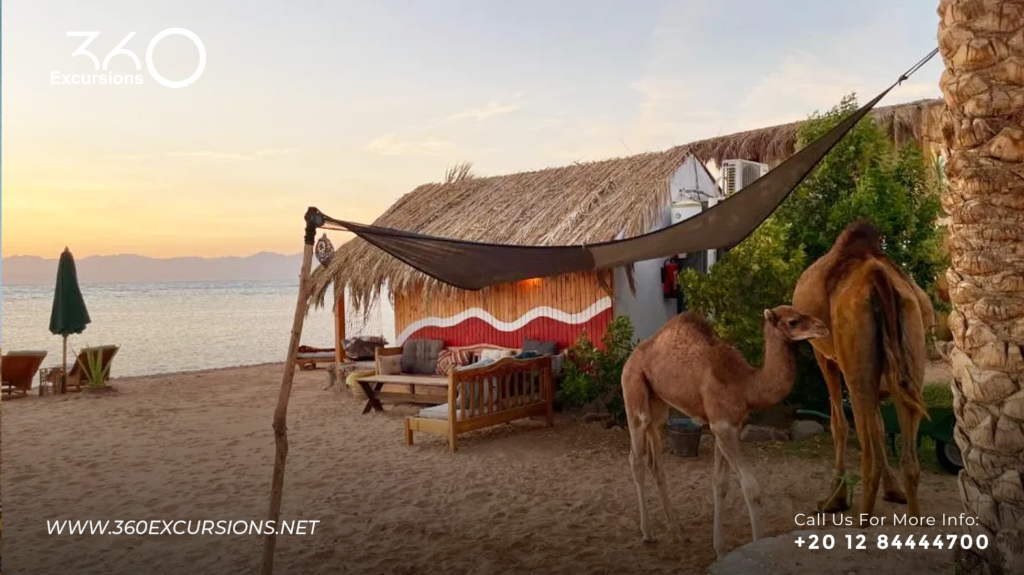 Nuweiba Egypt