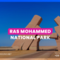 Ras Mohammed National Park