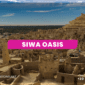 Siwa Oasis Egypt