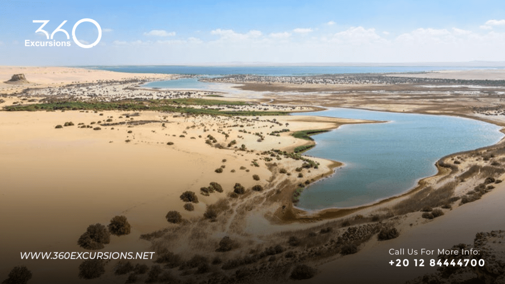 Wadi El Rayan
