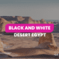 Black And White Desert Egypt
