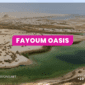 Fayoum Oasis