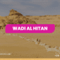 Wadi Al Hitan
