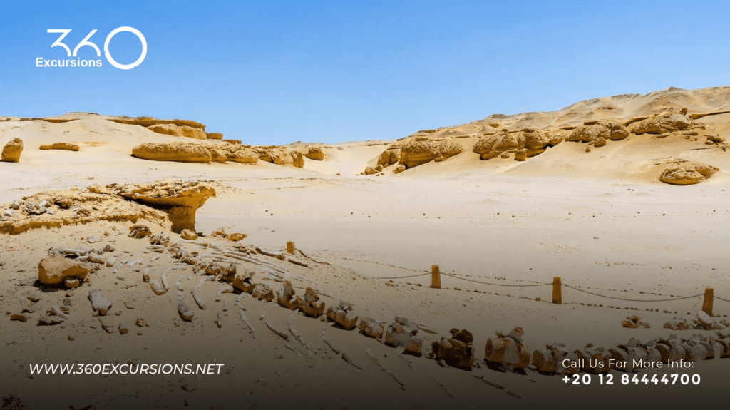 Wadi Al Hitan