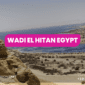 Wadi El Hitan Egypt