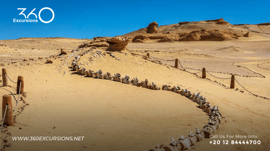 Wadi El Hitan Egypt