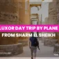 luxor day trip by plane from sharm